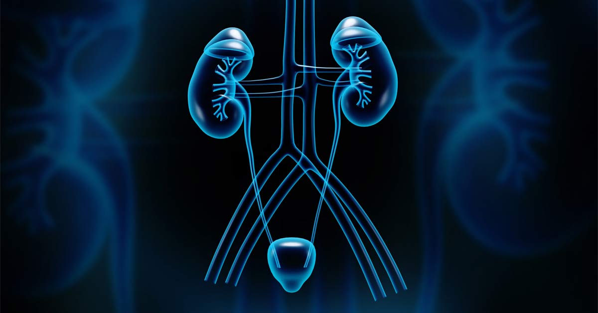 ureteral stents ureteral stents